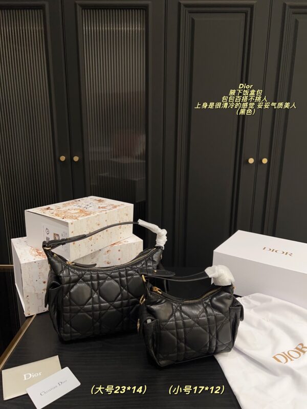 Dior Bag 2025