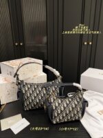 Dior Bag 2025