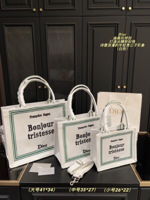 Dior Bag 2025