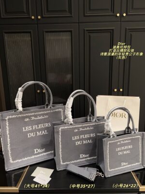 Dior Bag 2025
