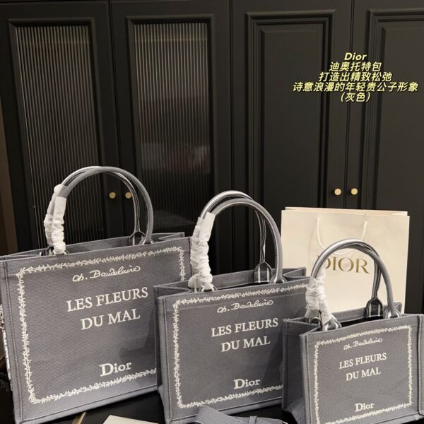Dior Bag 2025