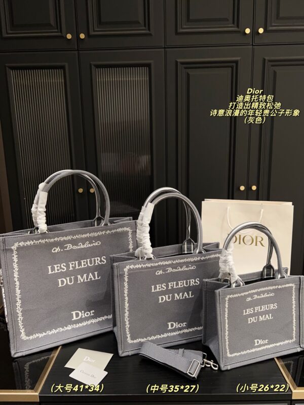 Dior Bag 2025