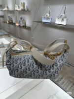 Dior Bag 2025