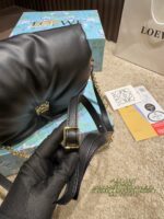 Loewe Bag 2025