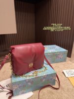 Loewe Bag 2025